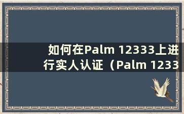 如何在Palm 12333上进行实人认证（Palm 12333上社保人脸识别认证）